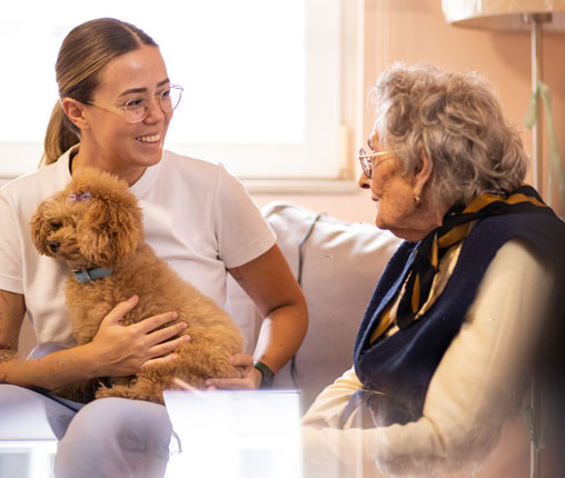 in home hospice care services